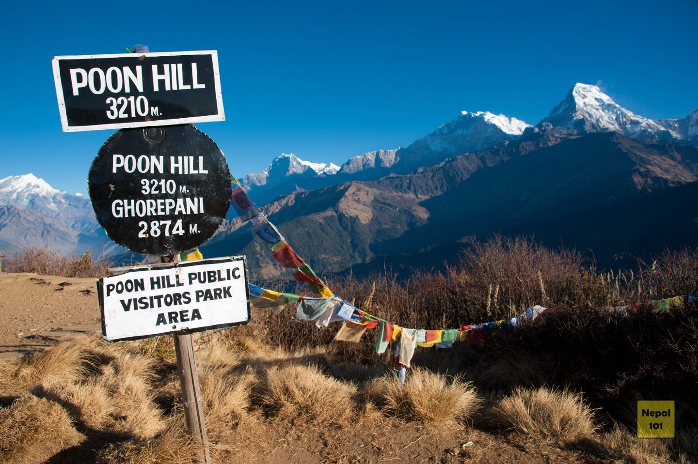 Ghorepani Poon Hill Trek